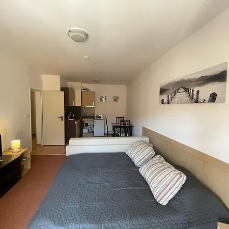 Marina Cape Sp Private Apartment Aheloy